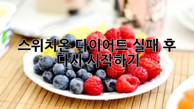 스위치온 다이어트 실패 후 다시 시작하기