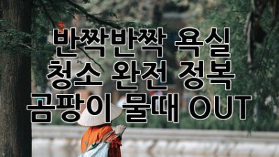 ✨반짝반짝 욕실✨ 청소 완전 정복! 곰팡이 물때 OUT!
